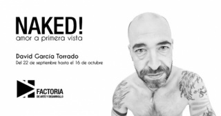 David García Torrado, Naked! amor a primera vista