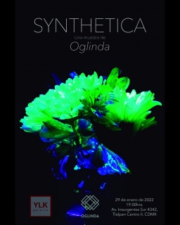 Shyntethica una muestra de Oglinda