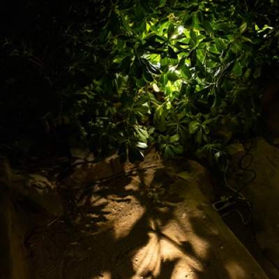 Día Internacional de la Luz