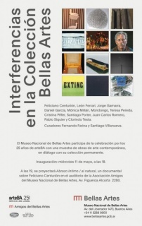Interferencias en la Colección Bellas Artes