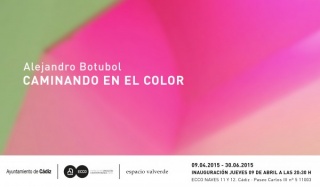 Alejandro botubol, Caminando en el color