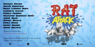 Rat attack