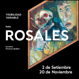 VISIBILIDAD VARIABLE | Pablo Rosales
