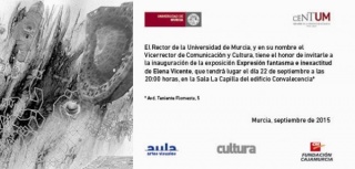 Expresión fantasma e inexactitud