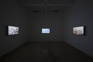 Carlos Martiel, Aislado, Installation view, Steve Turner, September 2015