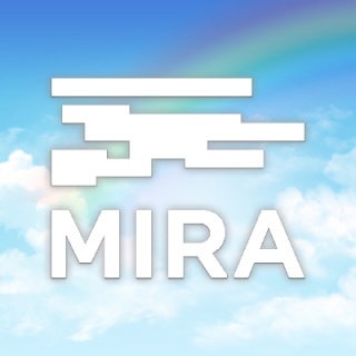 MIRA. Digital Arts Festival - 2017