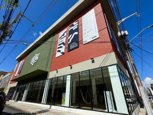 2ª Bienal das Amazônias