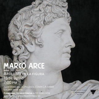 Marco Arce. Apología de la figura