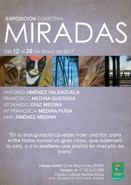 Miradas