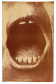 Untitled (#8), 1993. Graciela Sacco (Argentinian, born 1956). Heliograph print, 71.5 × 45.4 cm (28 1/8 × 17 7/8 in.) The J. Paul Getty Museum, Los Angeles, Purchased with funds provided by the Photographs Council. © Graciela Sacco