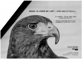 Jordi Abelló Vilella. Drons i el poder de l'art