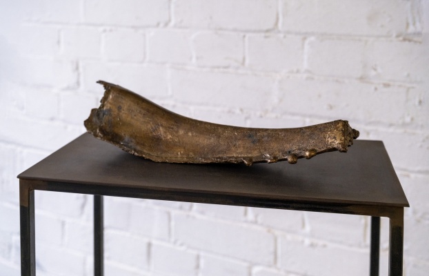 Shiraz Bayjoo. Sickness But Not in Health - Palm, 2025. Brass, with custom-made plinth. 34 x 11 x 7 cm.