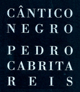 Pedro Cabrita Reis. Cântico Negro