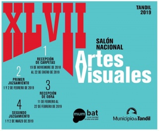 XLVII Salón Nacional de Artes Visuales