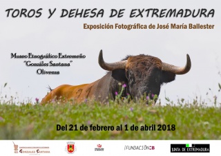 José María Ballester. Toros y dehesa de Extremadura