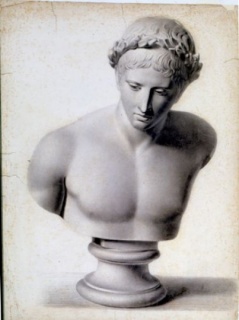 Busto Clássico, Victor Meirelles