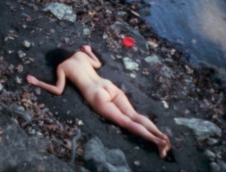 Ana Mendieta, ‘Corazón de Roca con Sangre’, 1975, super-8mm film transferred to high-definition digital media, color, silent, 3:14 minutes. © The Estate of Ana Mendieta Collection, LLC. Courtesy Galerie Lelong & Co.