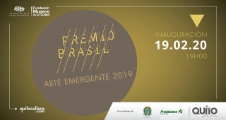 Premio Brasil Arte Emergente 2019