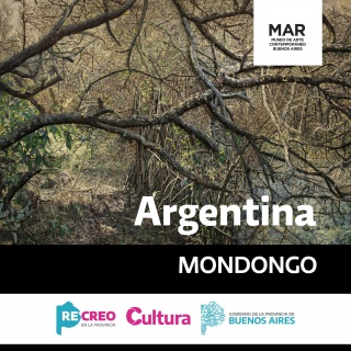 Mondongo. Argentina