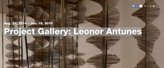 Project Gallery: Leonor Antunes