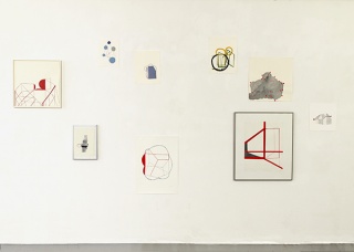Irene van de Mheen, Instalación de dibujos, medidas variables, 2014