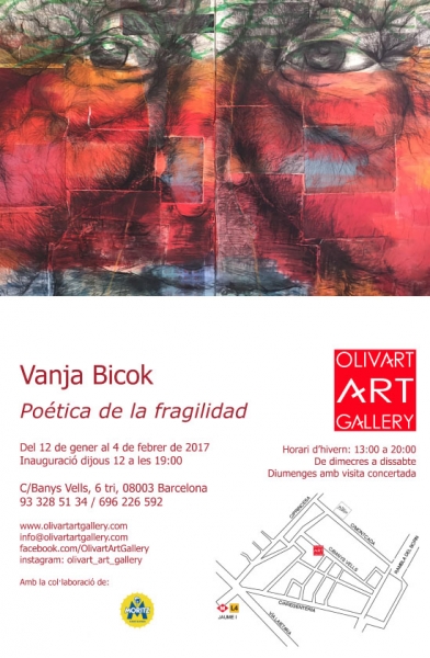 Vanja Bicok, Poética de la fragilidad