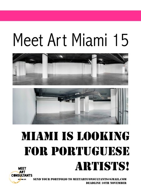 Meet Art Miami 15