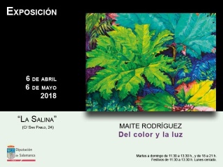 Maite Rodriguez. Del color y la luz