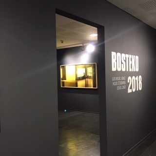 Bosteko 2018 — Cortesía de Iñigo Sarriugarte