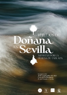 Reflejos de Doñana en Sevilla
