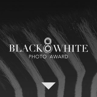 Black and White Photo Awards logo
