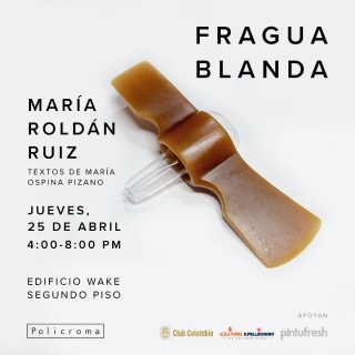 María Roldán Ruiz. Fragua blanda