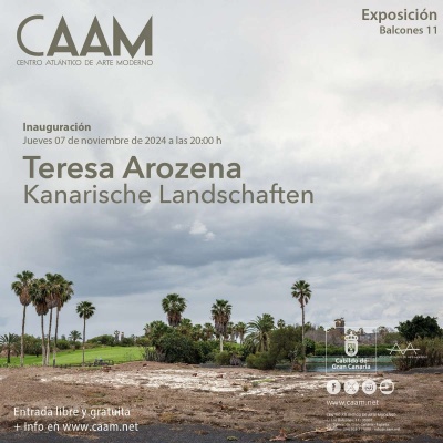 Teresa Arozena. Kanarische Landschaften