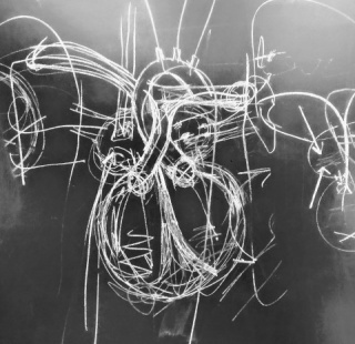 Taller de Anatomia - La mano que piensa