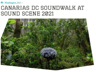 CANARIAS DC SOUNDWALK ~ preview at SOUND SCENE FESTIVAL 2021