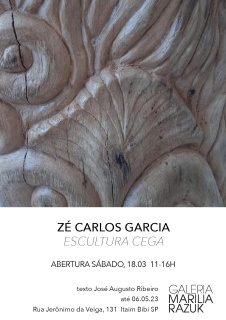 Zé Carlos Garcia. Escultura Cega