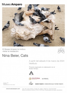 Nina Beier, Cats
