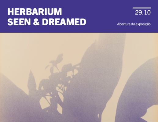 Herbarium Seen & Dreamed