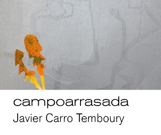 Campoarrasada de Javier Carro en Aspa contemporary