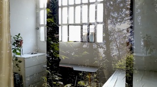 Fotograma del video Casa bosque 2023