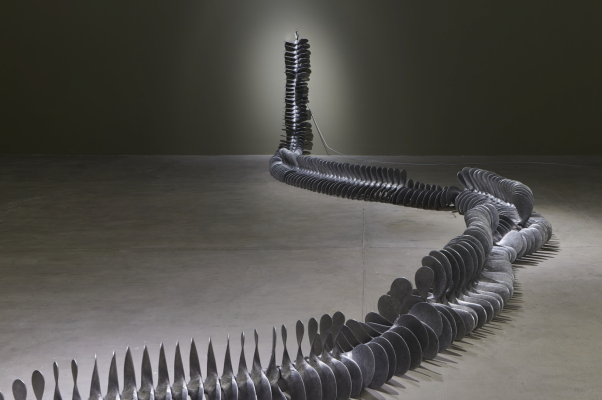 Vertebral