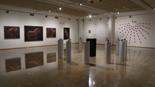 Exposición Sincronías Museo de Archena (Murcia)