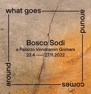 Bosco Sodi a Palazzo Vendramin Grimani