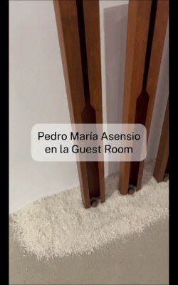 Pedro María Asensio en la Guest Room de Est_Art Space