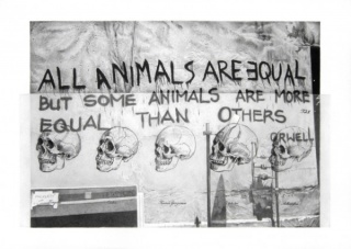 Ernesto Casero, All animals are equal