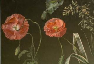 Paisaje y Flores. Renovación del dibujo académico en el siglo XIX