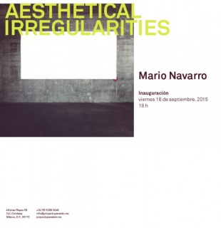 Mario Navarro, Aesthetical Irregularities