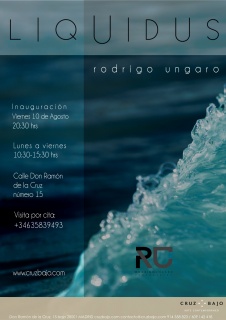 Rodrigo Ungaro. Liquidus