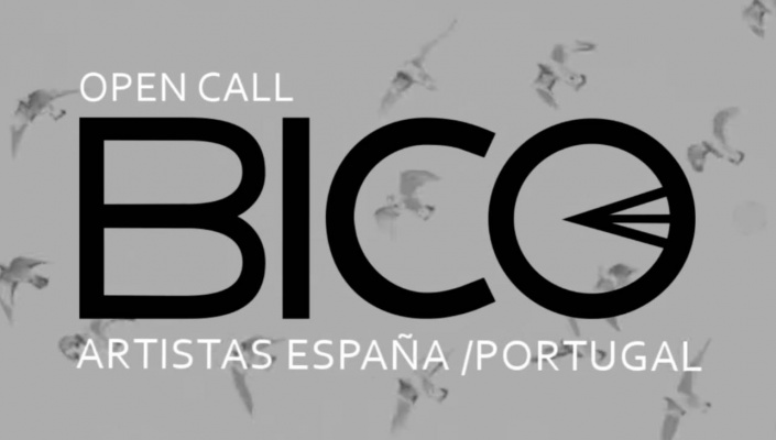 BICO - Intercambio de artistas España Portugal