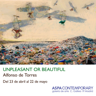 Unpleasant or beautiful - alfonso de torres - galeria aspa contemporary